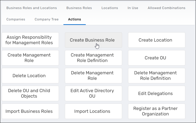 Actions tab with Create Business Role button