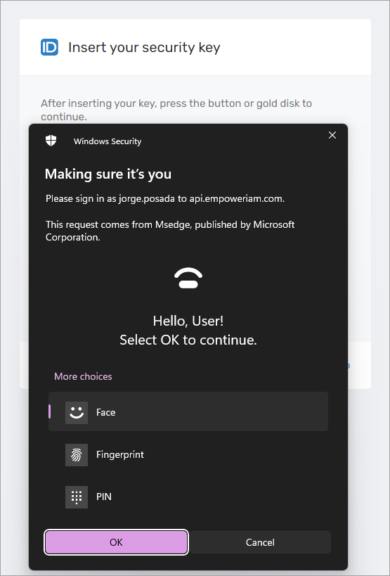 Windows Security Authentication